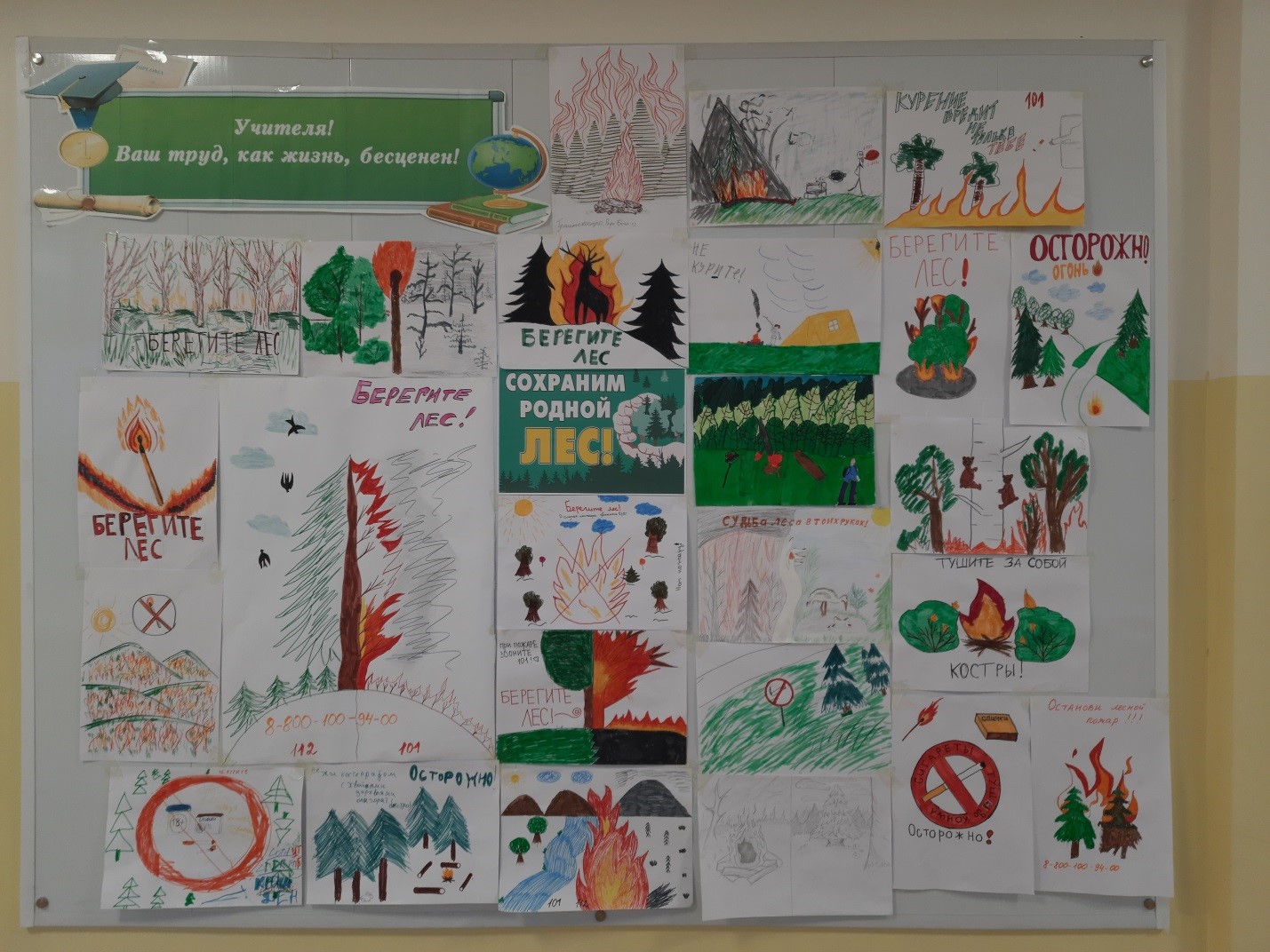 Международный день леса.