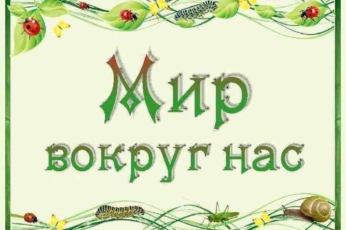 Мир вокруг нас.